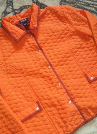 Стильна вітровка