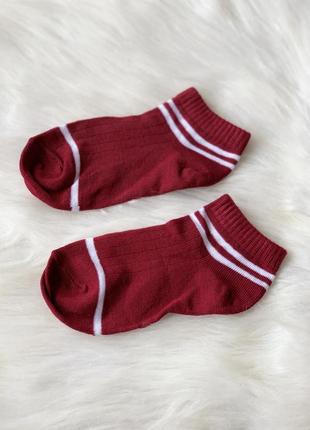 Носки, носочки, носки с полосками, с полосами, бордовые, бордові, р 35-36