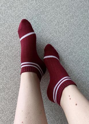 Носки, носочки, носки с полосками, с полосами, бордовые, бордові, р 35-363 фото