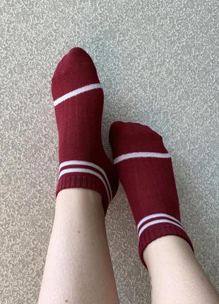 Носки, носочки, носки с полосками, с полосами, бордовые, бордові, р 35-364 фото