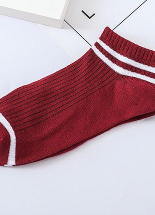 Носки, носочки, носки с полосками, с полосами, бордовые, бордові, р 35-366 фото
