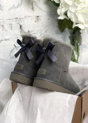 Стильні чобітки ugg bailey bow gray mini з бантом (осінь-зима-весна)😍9 фото