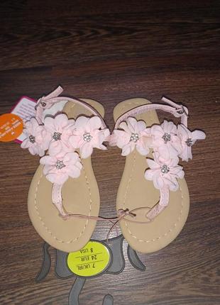 Young dimensions санлалі 4