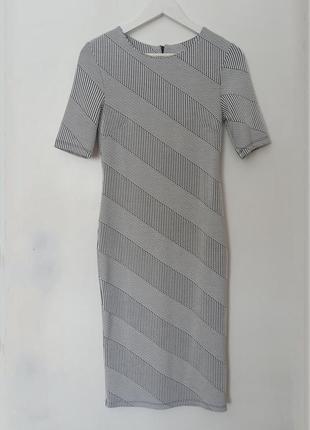 Сукня футляр в дрібну смужку2 фото