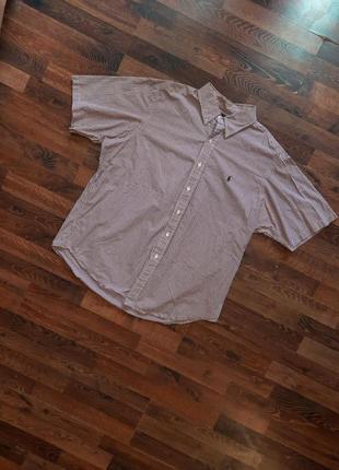 Мужская тенниска рубашка polo ralph lauren большой размер3 фото