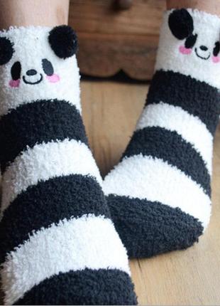 Милі м'які шкарпетки з малюнком панда, теплі шкарпетки "mr panda" (білий)