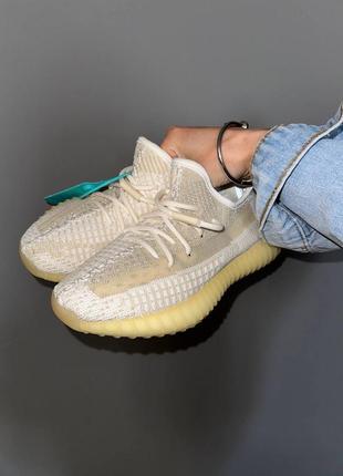 Рефлективное кроссовки adidas pupos adidas adi nova blue color code html v2 бежевые женские кроссовки adidas pupos adidas adi nova blue color code html рефлективные кроссовки адидас извые буст 350