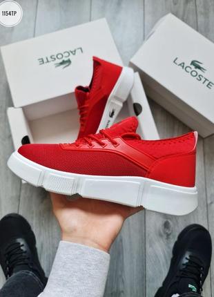 Хит! мужские кеды lacoste red  лето5 фото