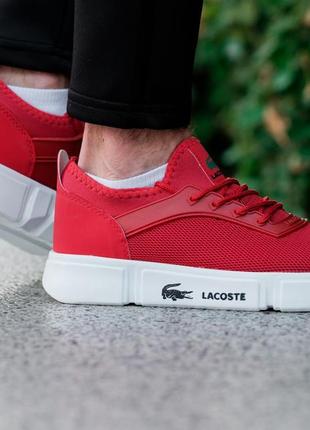 Хит продажи! мужские кеды кроссовки lacoste red3 фото