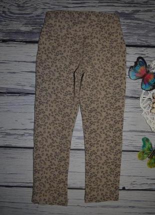 4 года 104 см модные яркие фирменные легинсы лосины девочке леопард пятнышки под джинс9 фото