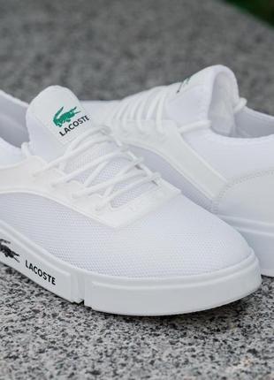 Хит! мужские кеды lacoste white  ⁇  лето