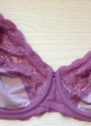 Triumph amourette 300 w-75h4 фото