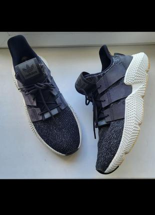 Кросівки adidas prophere