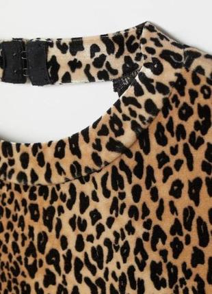 Красивый велюровый боди h&amp;m леопардовый бархатистый боди с открытой спинкой с рукавами бодик гольф лонгсливков кофточка4 фото