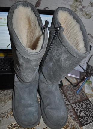 Ugg зимние высокие теплющие  australia  оригинал
