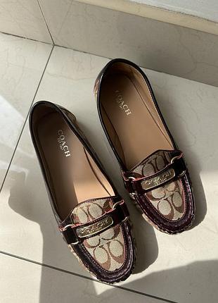 Лофери coach
