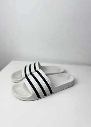 Шлепанцы adidas adilette5 фото