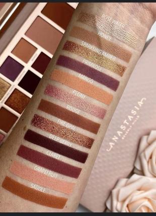 Anastasia beverly hills primrose all in one face &amp; eye shadow palette