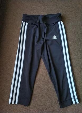 Бриджи adidas