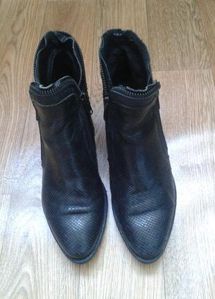 Итальянские кожаные ботинки актуального фасона khrio 36 р.