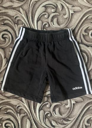 Женские шорты adidas1 фото