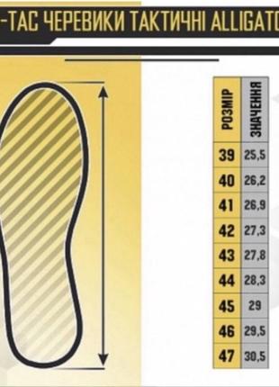 Напівчеревики тактичні демісезонні / тактичне взуття на мембрані ak tactical gtx mid (coyote)2 фото