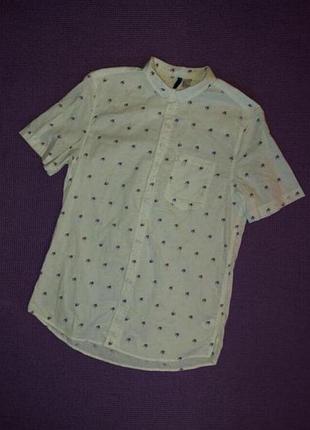 Гавайская рубашка с пальмами