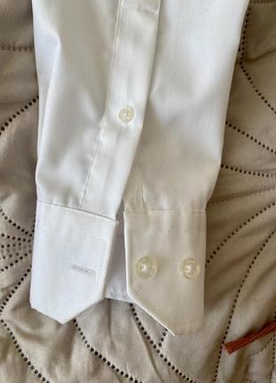 Белая мужская рубашка cortigiano in bottega6 фото