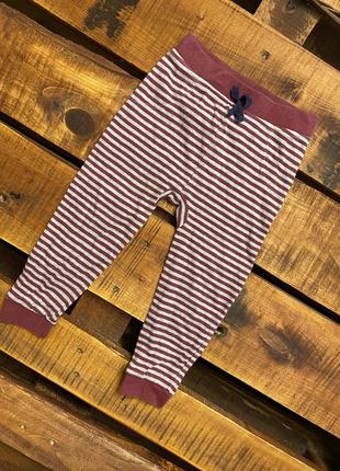 Детские полосатые штаны (брюки) george (джордж 18-24 мес 86-92 см идеал оригинал серо-бордовые)