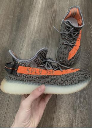 Кросівки adidas yeezy 3501 фото