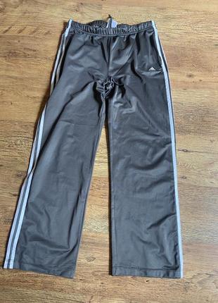 Спортивні штани adidas