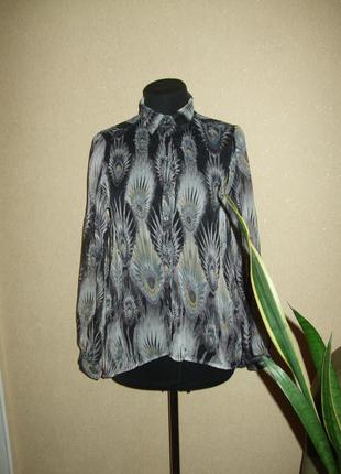 Шифоновая блуза, рубашка1 фото