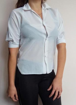 Блузка рама/ классическая блуза