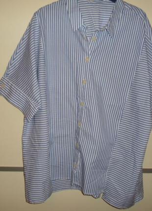 Новая блуза "манго" хл