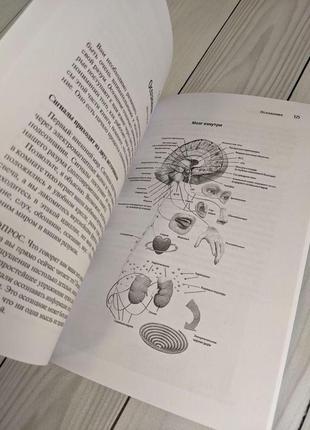 Набір книг "метод сильвы" хосе сильва, "пластичность мозга", "коучинг мозга", "развитие мозга"5 фото