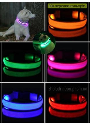 Яскравий світний нашийник usb для собак і котів. xs-xl(18-58 см)  8 кольорів у наявності.