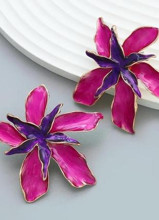 Сережки гвоздики, сережки квітка, квіти, квіточки