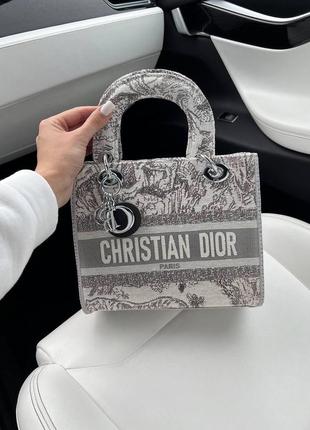 Сумка женская диор dior lady silver