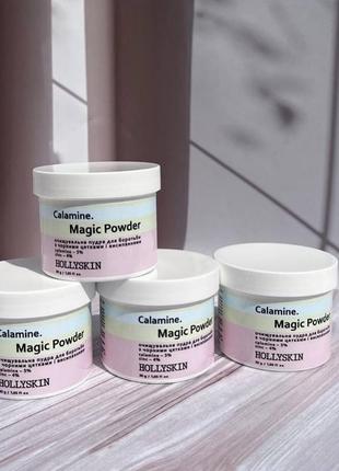 Пудра, що очищає, від чорних цяток і запалень hollyskin calamine magic powder 30 гр