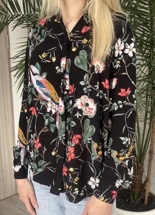 Блузка жіноча. блузка з длінним рукавом. шифонова блузка.