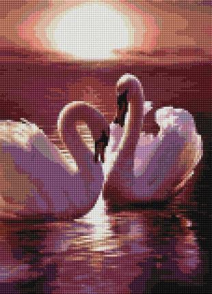 Алмазна мозайка пара лебедів melmil