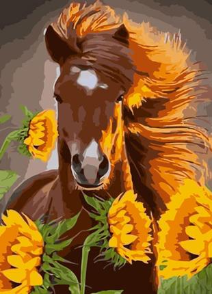 Картина за номерами strateg кінь серед соняшників розміром 40х50 см (gs975) melmil