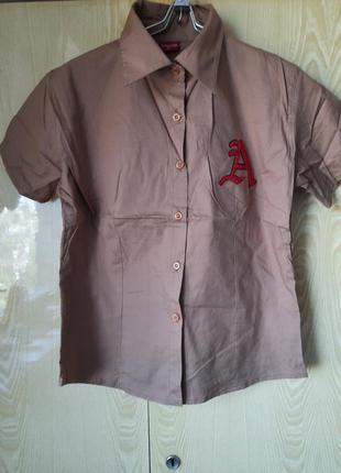 Рубашка блуза батник размер 36