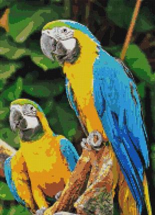 Алмазная мозайка папуги ара melmil1 фото