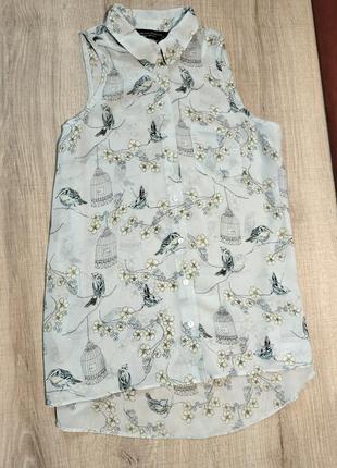 Красивая блуза бренда dorothy perkins