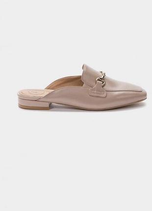 Моли шлепанцы