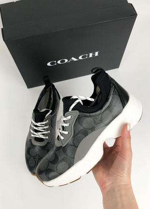 Кроссовки coach оригинал