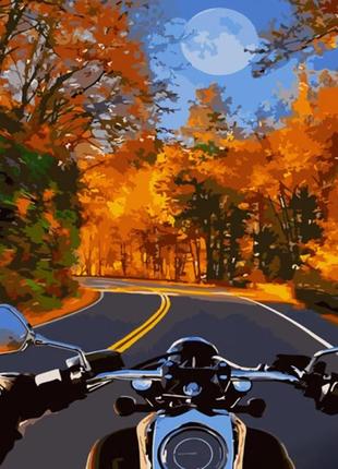 Картина за номерами на мотоциклі восени 40х50 см strateg