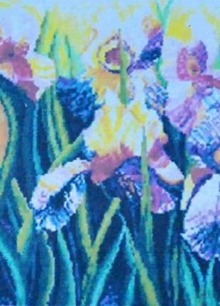 Набор алмазная мозаика вышивка ирисы петушки расцвет ирисов цветение и размножение полная выкладка 5d 53х40 см1 фото