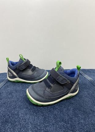 Кроссовки ecco biom